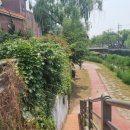 삼일중 입구 이미지