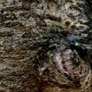 지방도925호선 이미지