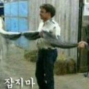 트윈스영수학원