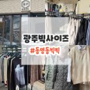 빅픽 이미지