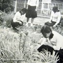 쓰리세븐가방