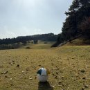 은화삼 | 은화삼 CC