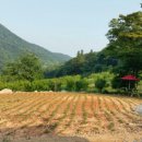 방장산 농장 이미지