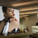 메르디센트