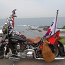 815투어