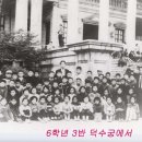 일동초교 이미지