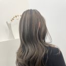 브라운디자인 이미지