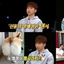 쎈스타