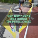 대림늘푸른어린이집 | 동대문구 답십리동 동답초 녹색어머니 다녀왔어요:: 나팔꽃 피는 시기