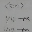 진가연 Daum카페