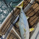 복사초등학교2 이미지