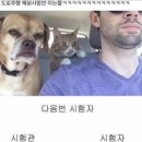 거가자동차 | [운전면허#3] 운전면허 2종 자동 도로주행 삼수 합격후기(감점내용, 준비꿀팁)서울강서운전학원 후기