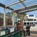 보기만 해도 기분 좋아지는 봄 네일 | 군자네일샵 | 루블링 네일에서 했어요