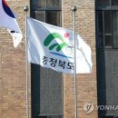 괴산관광지공용주차장 이미지