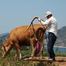 송정마을 이미지