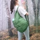 BICHON KOREA | HBB밸런스백과 편안한 강아지 산책다녀오기!