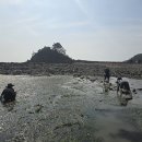 이레펜션 | 태안워크샵펜션 이레 리조트 단체 후기