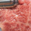 주)으뜸 이미지