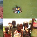 하쿠나마타타 이미지