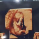 결성농장 이미지