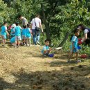 정안마을 이미지