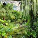 서울식물원 이미지