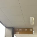 관가 | [나고야 여행 6] 시라카와고 절망편 / 시라카와고 물푸딩 / 시라카와고 음식점 후기