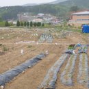 거부농장 이미지