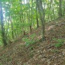 강림면331 이미지