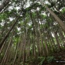 구덕운동장 입구 이미지