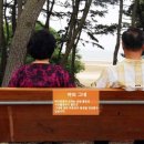 나리와꽃창포 이미지