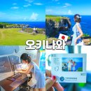 진호카서비스 | 오키나와 자유여행 만좌모 입장료 주차장 입장시간 총정리