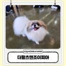 더왈츠앤조이피아 | 강남 애견카페 더왈츠앤조이피아 아이 동반 애견 없이 방문 가능