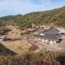 유림정비 | [충청북도 청주시] 멍글멍글 펫 글램핑