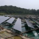동아태양광발전소 이미지