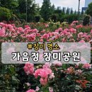애필리움아파트 상가 개방화장실 | 경남 창원 가볼만한곳 장미공원 장미 수국 개화 상태 6월 꽃구경