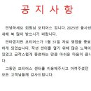 모티어스
