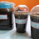 쌩큐마트 Daum카페