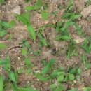 서희농장 이미지