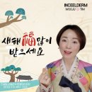 인셀덤성공열차대리점
