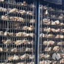 경기농장 이미지