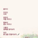 수갤러리 이미지