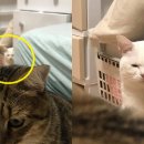 지은라이프 이미지