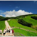 형제목장 이미지