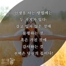 소나무의 미학. 축! 한강. 노벨문학상 수상! 이미지