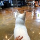 개편한세상 이미지