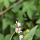 사광농장 이미지