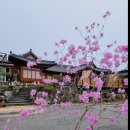 주포농장 이미지