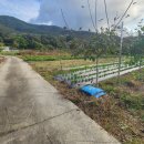 의곡초등학교 이미지