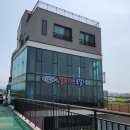 달고기네은갈치